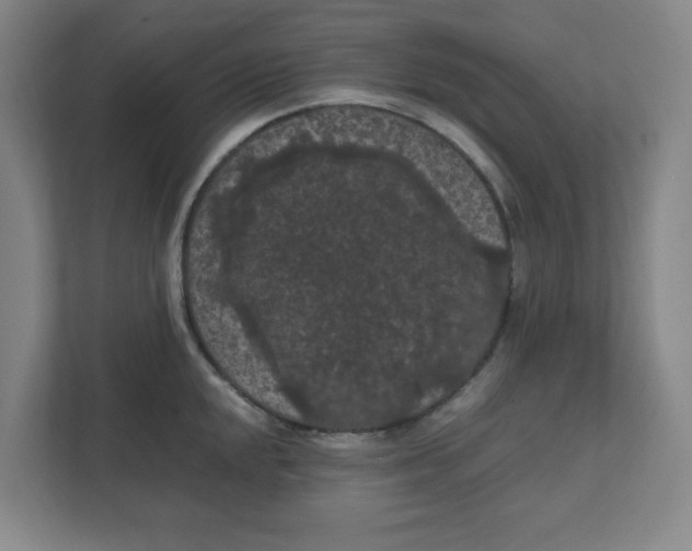 X0000111861048200908201253
