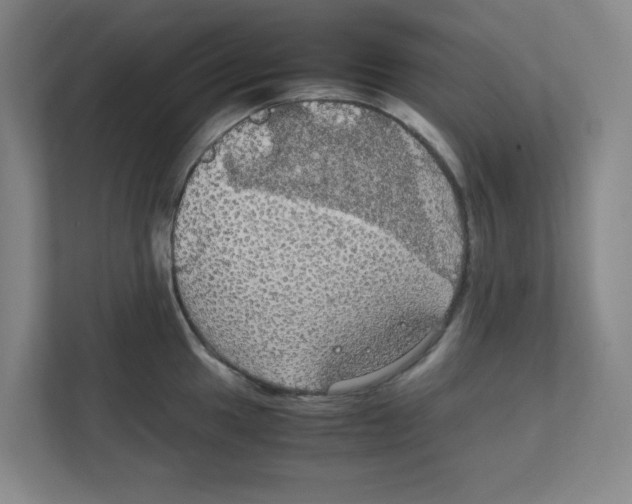 X0000111861049200908201253