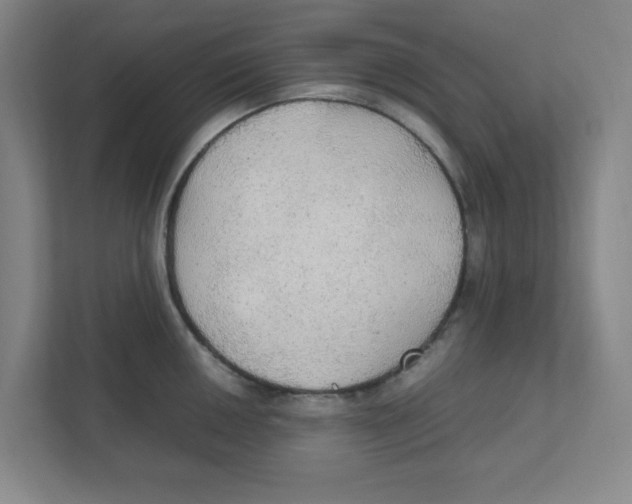 X0000111861050200908201253