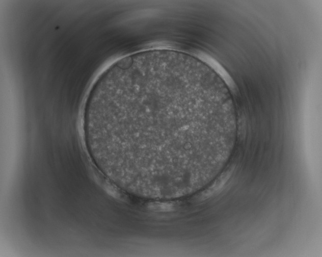 X0000111861051200908201253