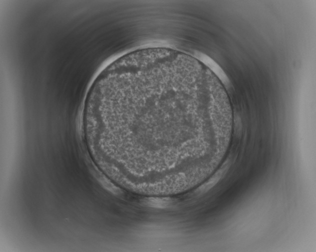 X0000111861052200908201253