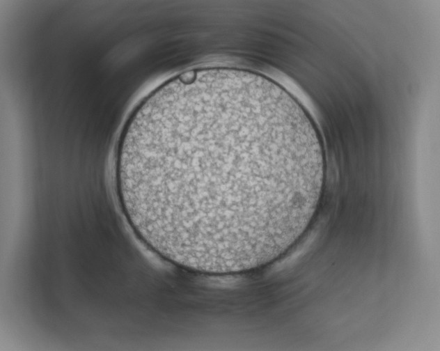 X0000111861053200908201253