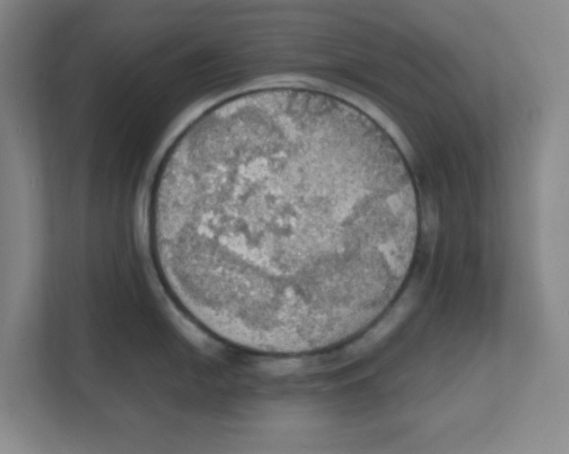 X0000111861054200908201253