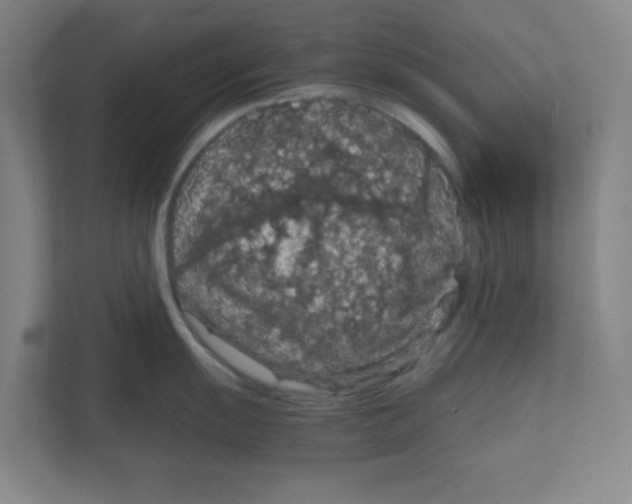 X0000111861055200908201253