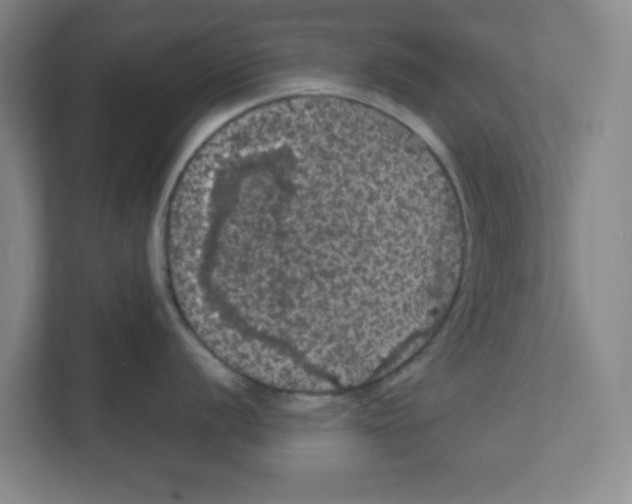 X0000111861056200908201253