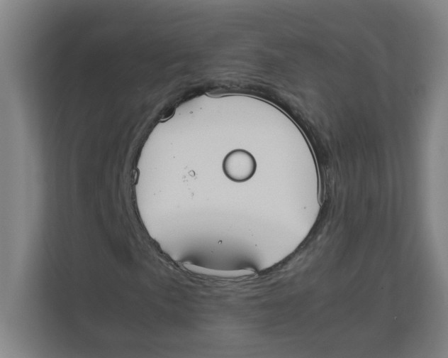 X0000111861057200908201253