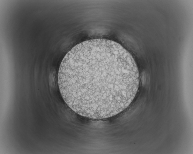 X0000111861059200908201253