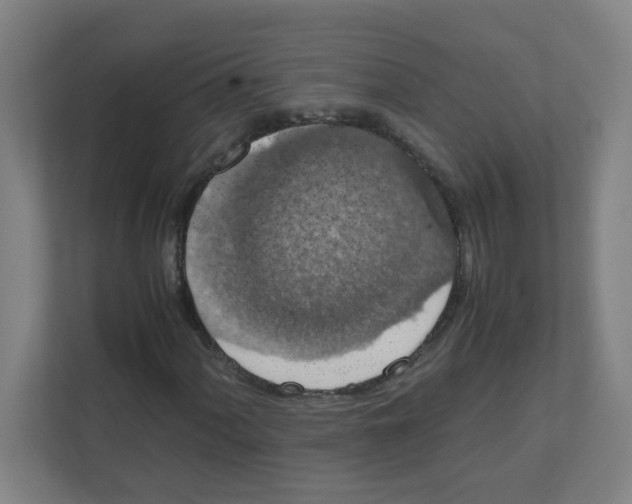 X0000111861060200908201253
