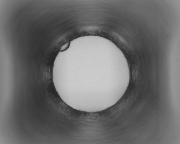 X0000111861062200908201253