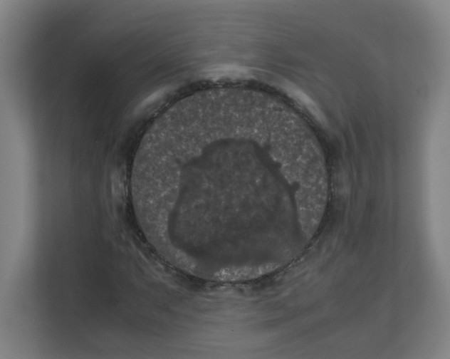 X0000111861063200908201253