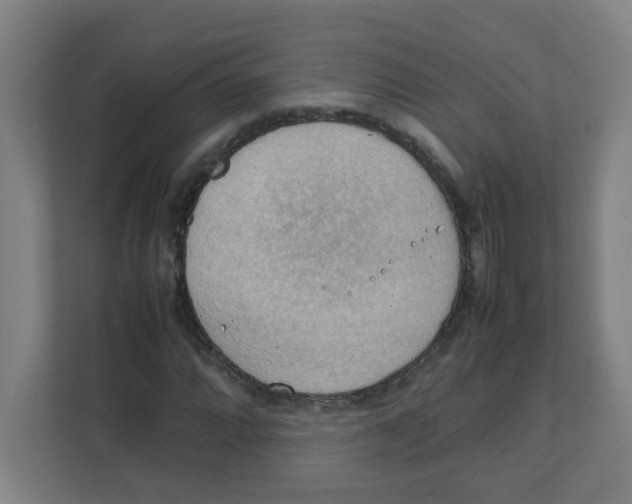 X0000111861064200908201253