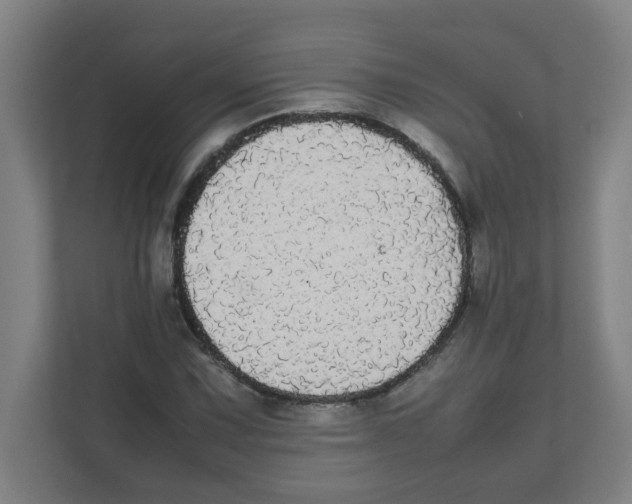 X0000111861067200908201253
