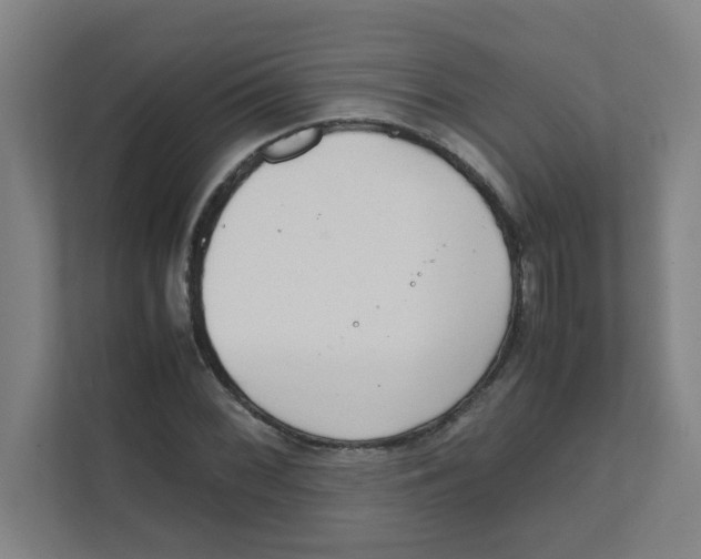 X0000111861068200908201253