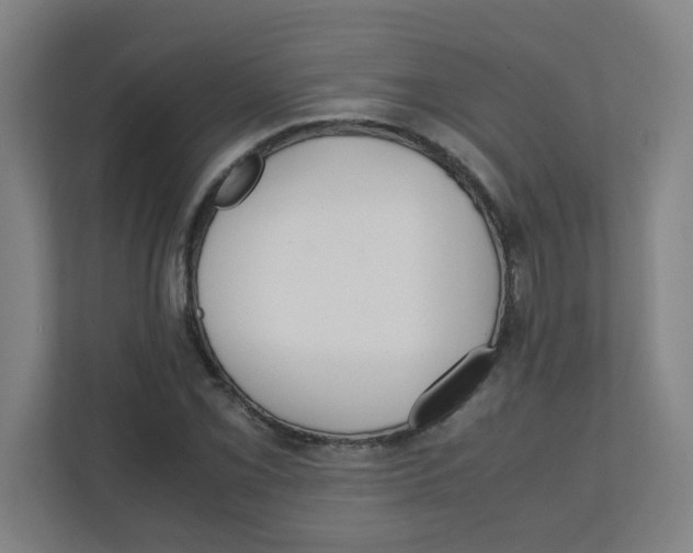 X0000111861069200908201253