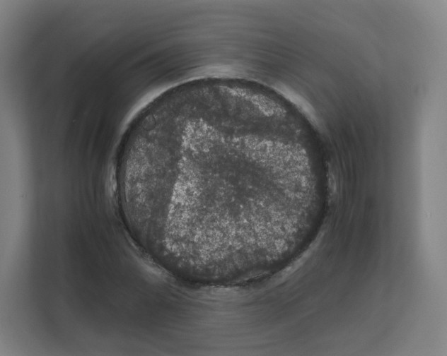 X0000111861070200908201253
