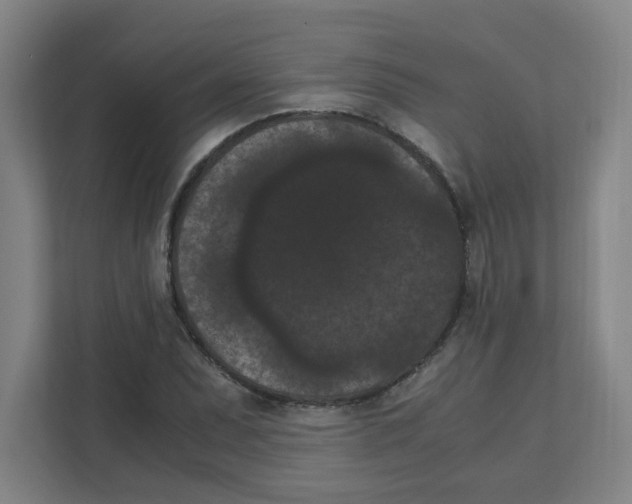 X0000111861071200908201253