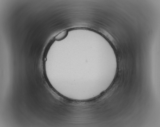 X0000111861072200908201253
