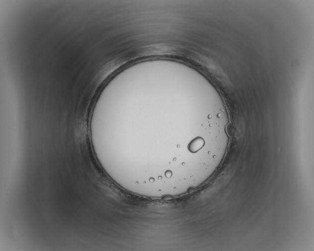 X0000111861073200908201253