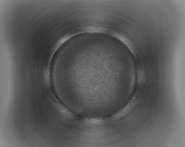 X0000111861074200908201252