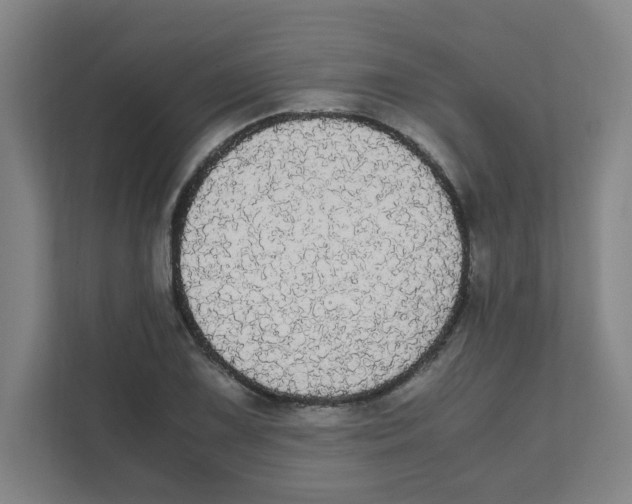 X0000111861075200908201252