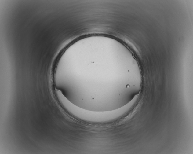X0000111861077200908201252
