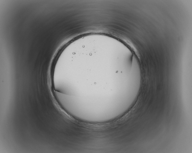 X0000111861080200908201252