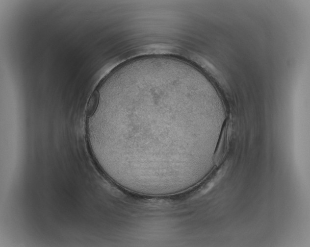 X0000111861081200908201252