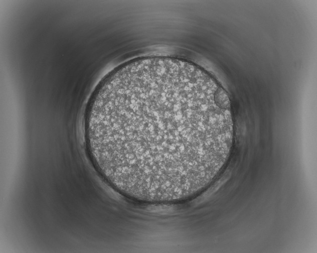 X0000111861083200908201252