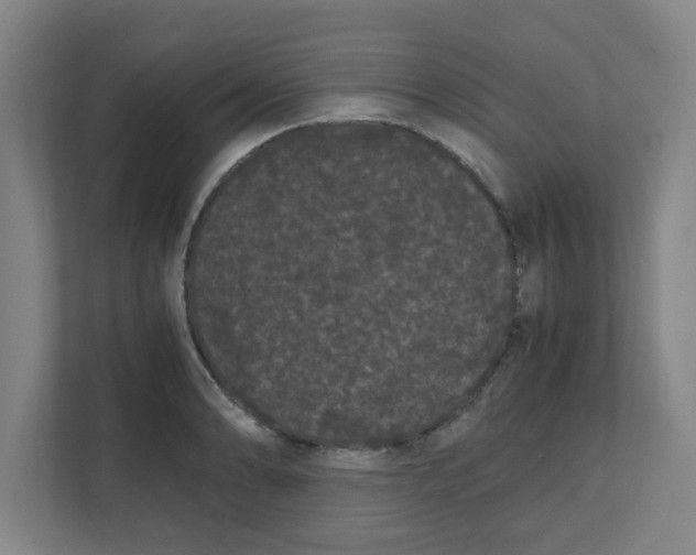 X0000111861086200908201252