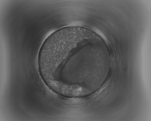 X0000111861087200908201252