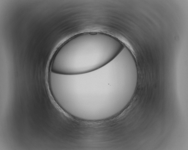 X0000111861088200908201252