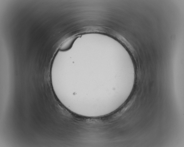 X0000111861089200908201252