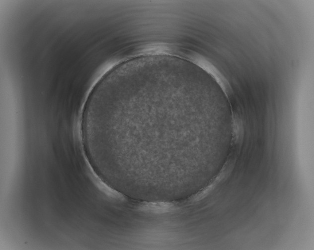 X0000111861090200908201252