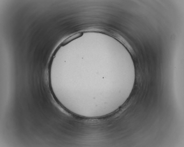X0000111861092200908201252