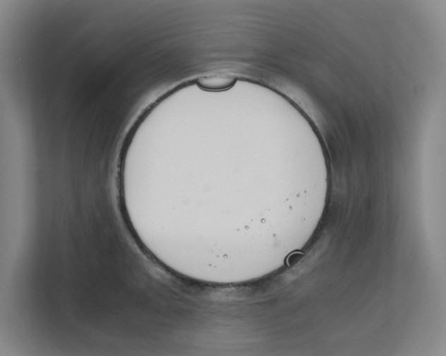 X0000111861093200908201252