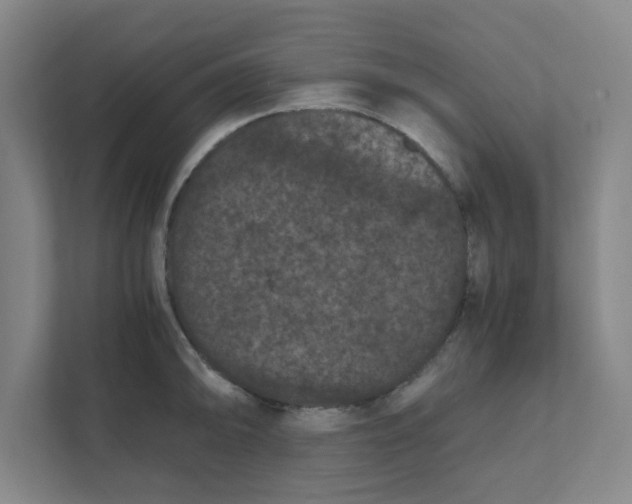 X0000111861094200908201252