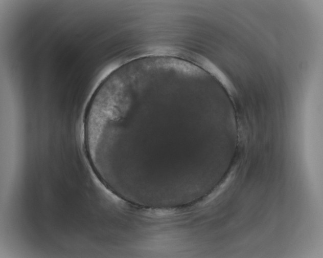 X0000111861095200908201252