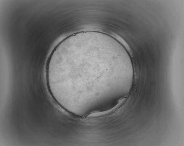 X0000111861096200908201252