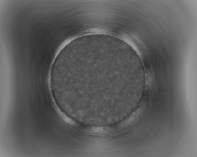 X0000111861098200908201252