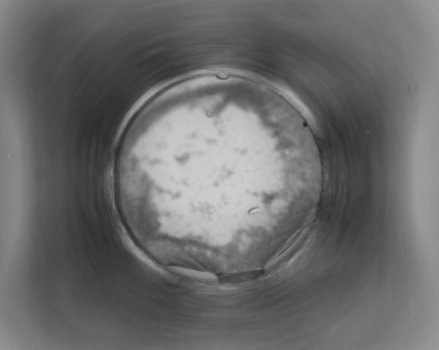 X0000111861100200908201252