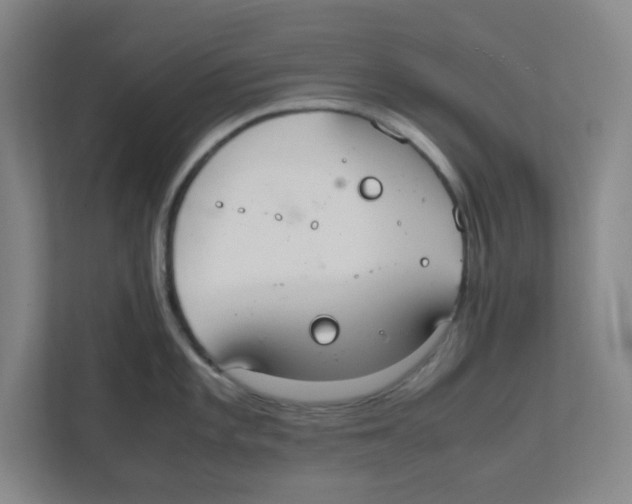 X0000111861101200908201252