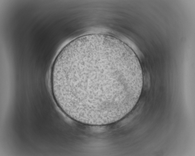 X0000111861103200908201252
