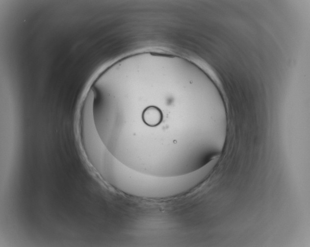 X0000111861104200908201252