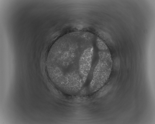X0000111861105200908201251