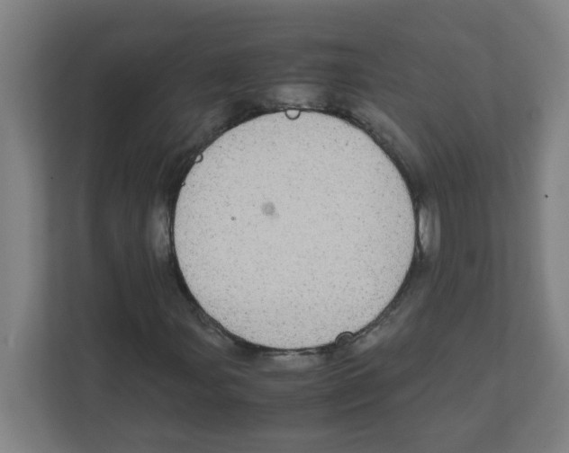 X0000111861107200908201251