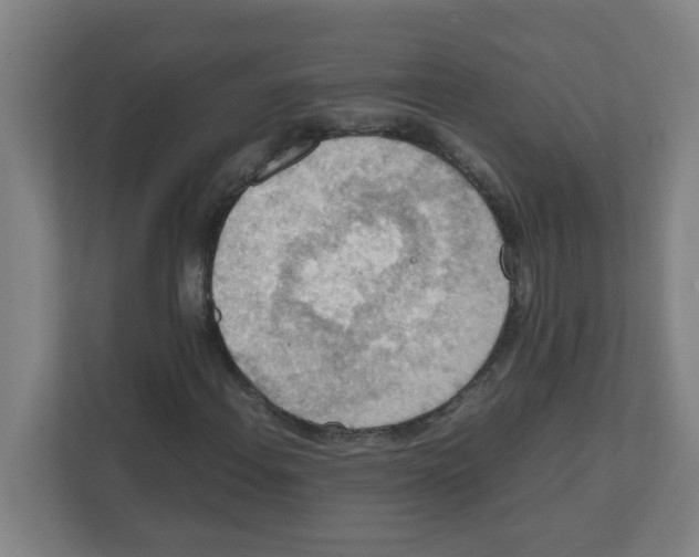 X0000111861108200908201252