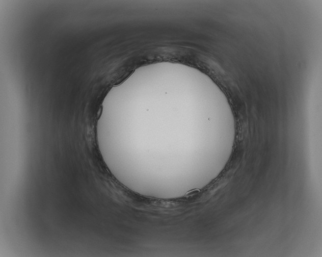 X0000111861109200908201252