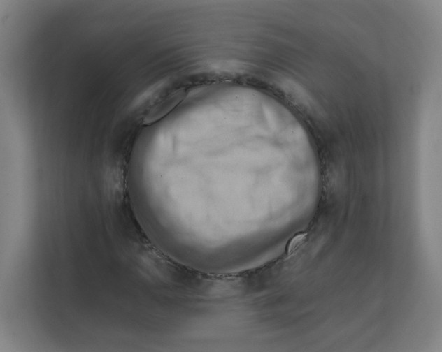 X0000111861110200908201252