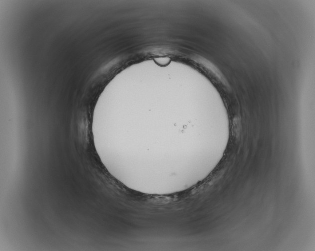 X0000111861111200908201252