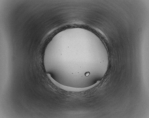 X0000111861112200908201252